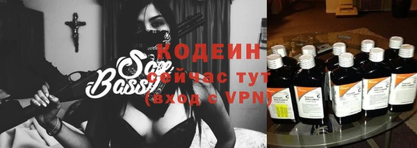 прущие крисы Заводоуковск