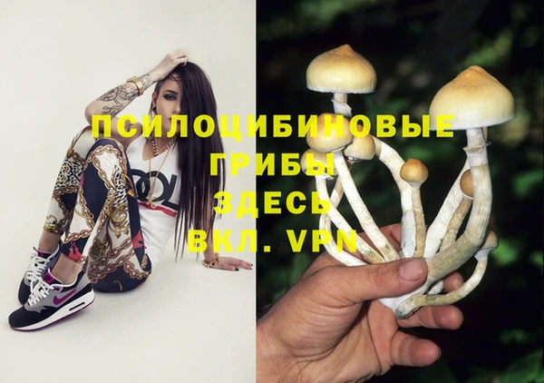 mdma Заволжск