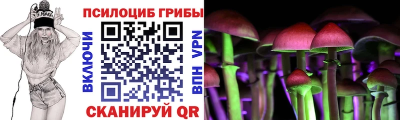 Купить где  Пустошка  Галлюциногенные грибы Magic Shrooms 