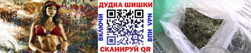 Купить закладки  Пустошка  Марихуана сатива 